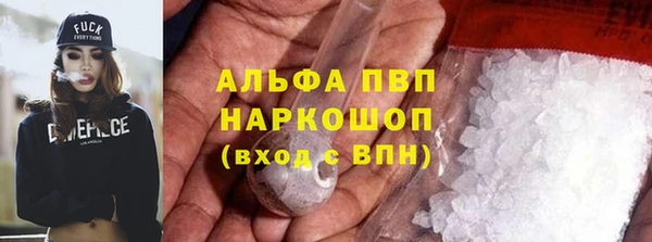 прущие грибы Майский