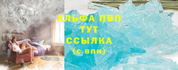 прущие грибы Майский
