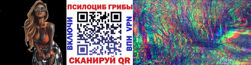 Псилоцибиновые грибы Psilocybe  Купить где  Анжеро-Судженск 